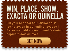 Win, Place, Show Exacta or Quinella